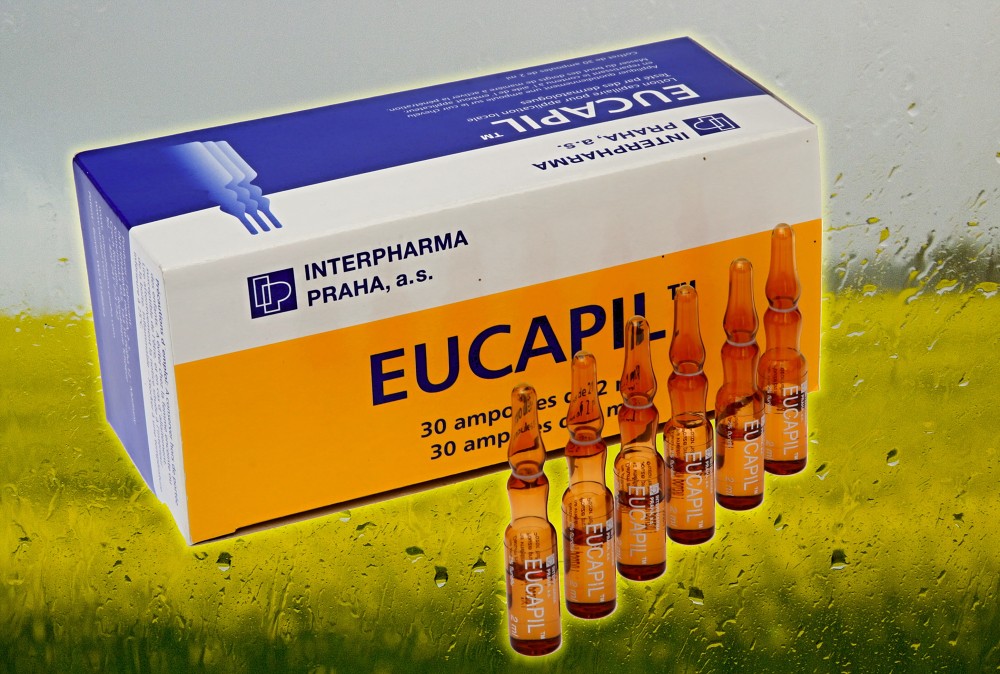 img_eucapil_02.jpg