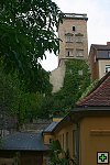 thn_IMG_3687.jpg